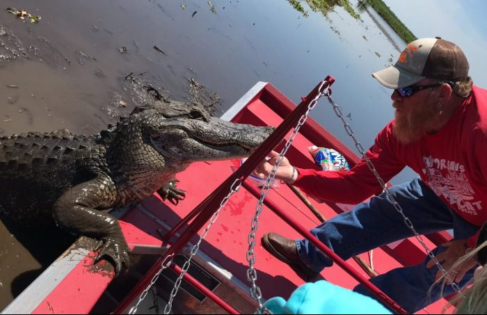 New Orleans Airboat Tours, LLC