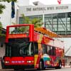 City Sightseeing New Orleans - Hop-On Hop-Off